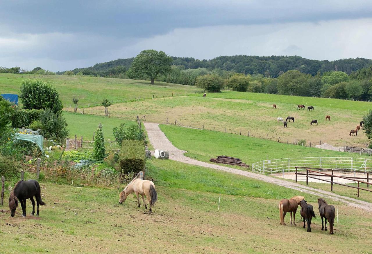 Ferienwohnung Roderath Nettersheim Zewnętrze zdjęcie